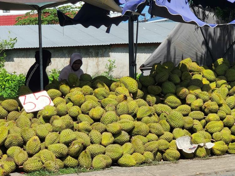 Sầu riêng RI6 ở miền Tây chỉ còn 30.000 – 35.000 đồng/kg
