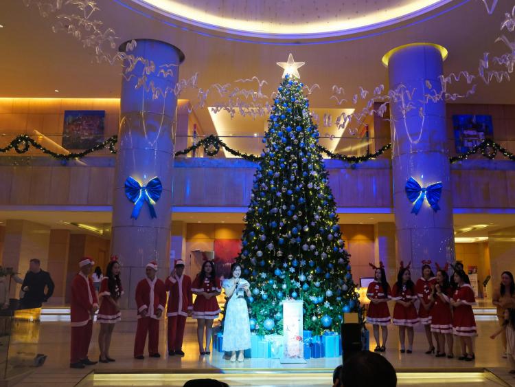 Các khách sạn lớn tại Nha Trang đồng loạt thắp sáng cây thông mừng Giáng sinh