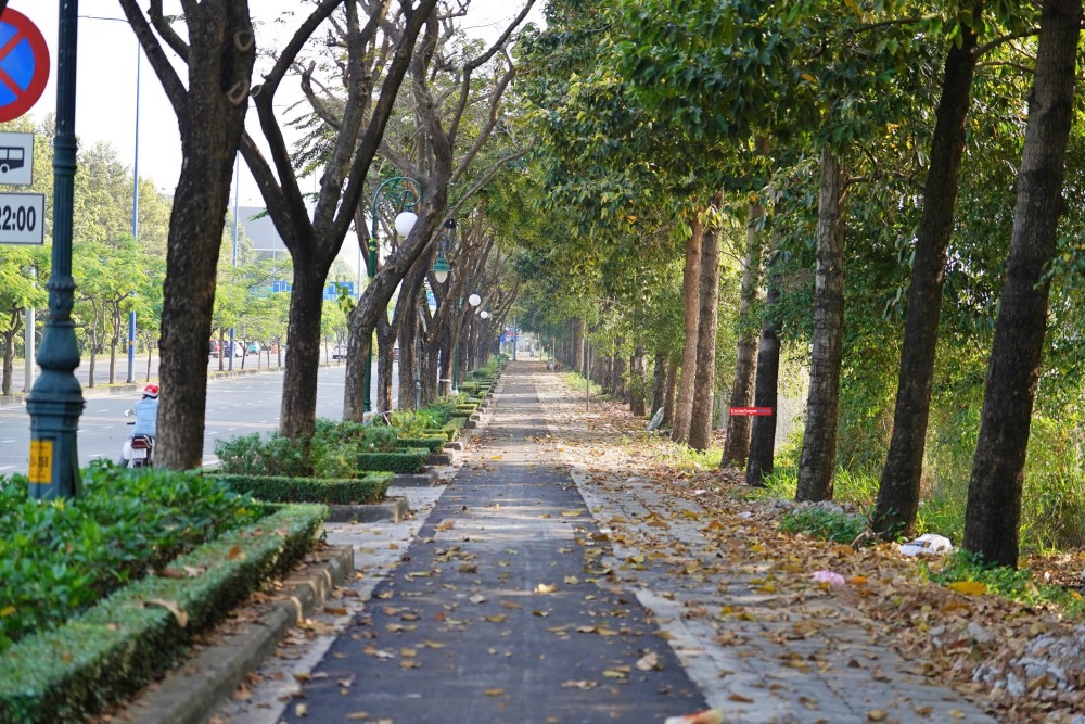 Cận cảnh làn cho xe đạp đầu tiên ở TPHCM sắp hoàn thành