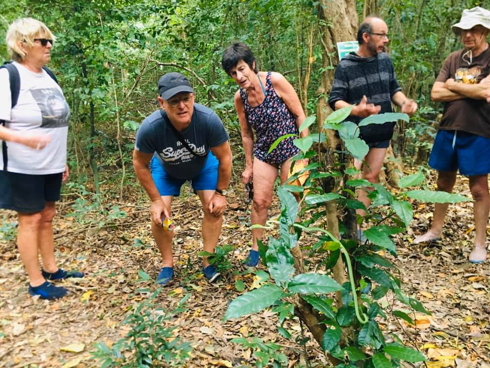 Lời nhắn từ rừng già và bài toán kinh tế trách nhiệm