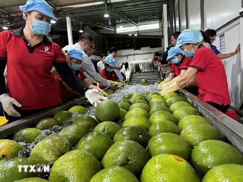 Doanh nghiệp thành lập tăng 42%, vốn ngoại đạt gần 25 tỉ đô la