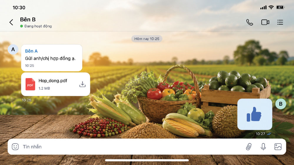 Rủi ro khi giao dịch qua Zalo, Facebook - Phần 1: Một cái 'like' có thể thành hợp đồng?
