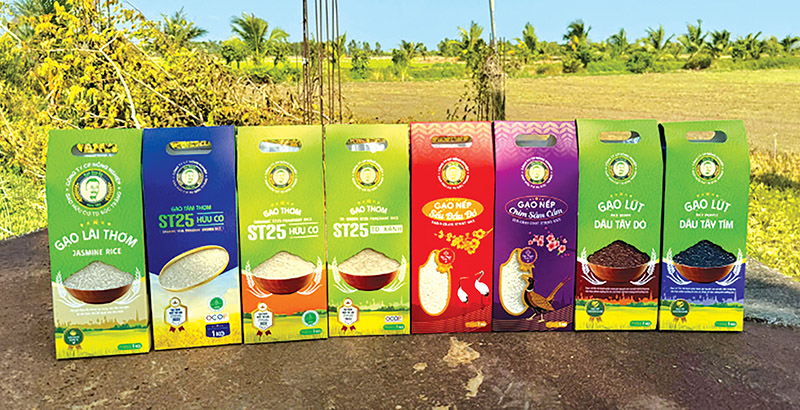 Một hệ sinh thái 'tiếp sức thiết thực' nhìn từ câu chuyện 'tự bơi' của một doanh nghiệp