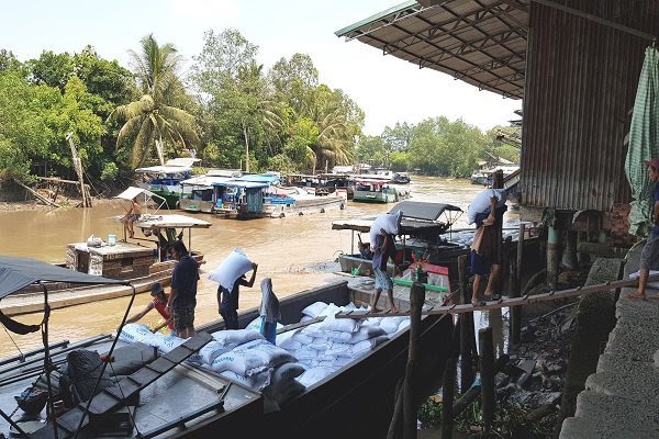 40 traders successfully register for export of 400,000 tons of rice
