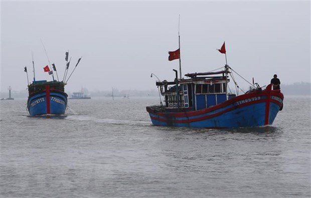 Vietnam requests China pay for sunken vessel