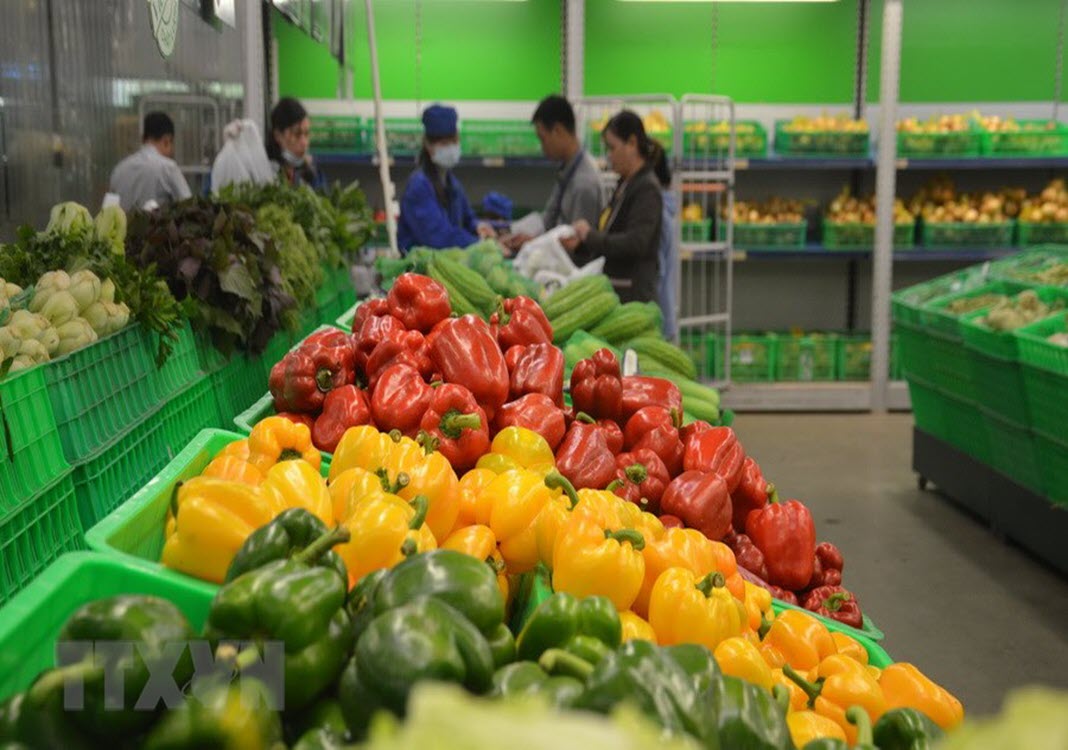 Exporters should heed China’s food safety regulations amid new coronavirus outbreak