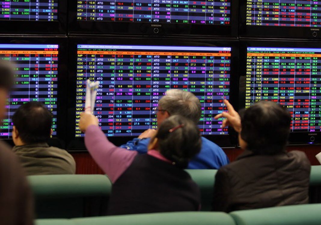 Large caps keep VN-Index afloat