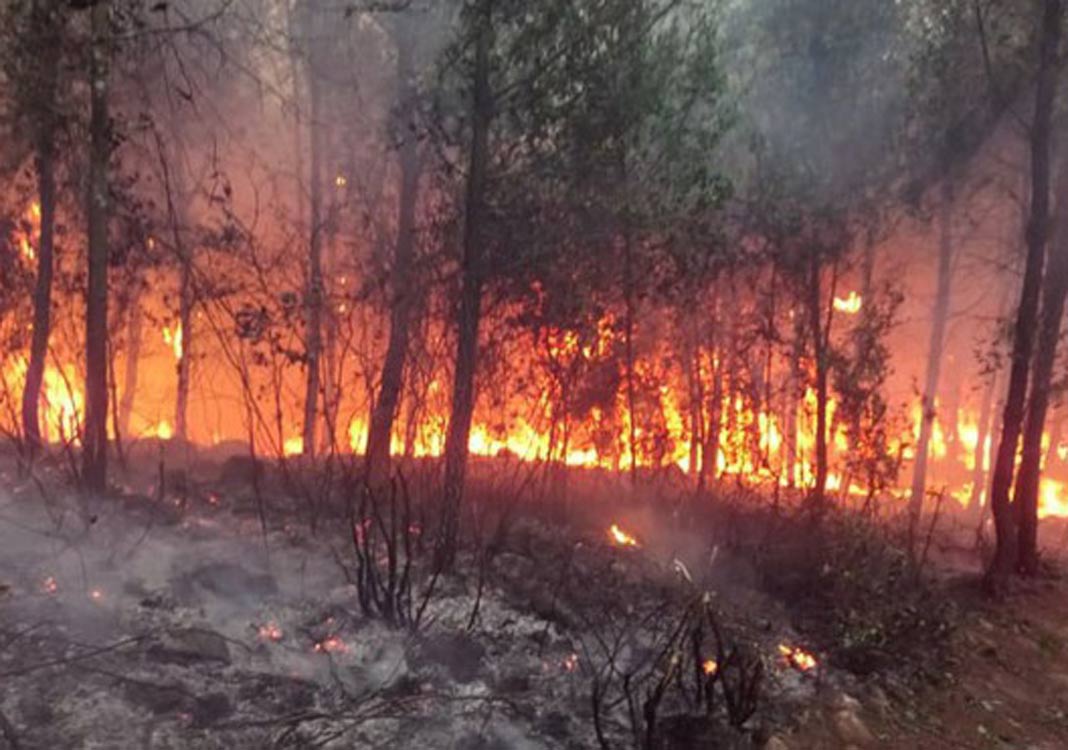 Sweltering weather to hit Central Vietnam today