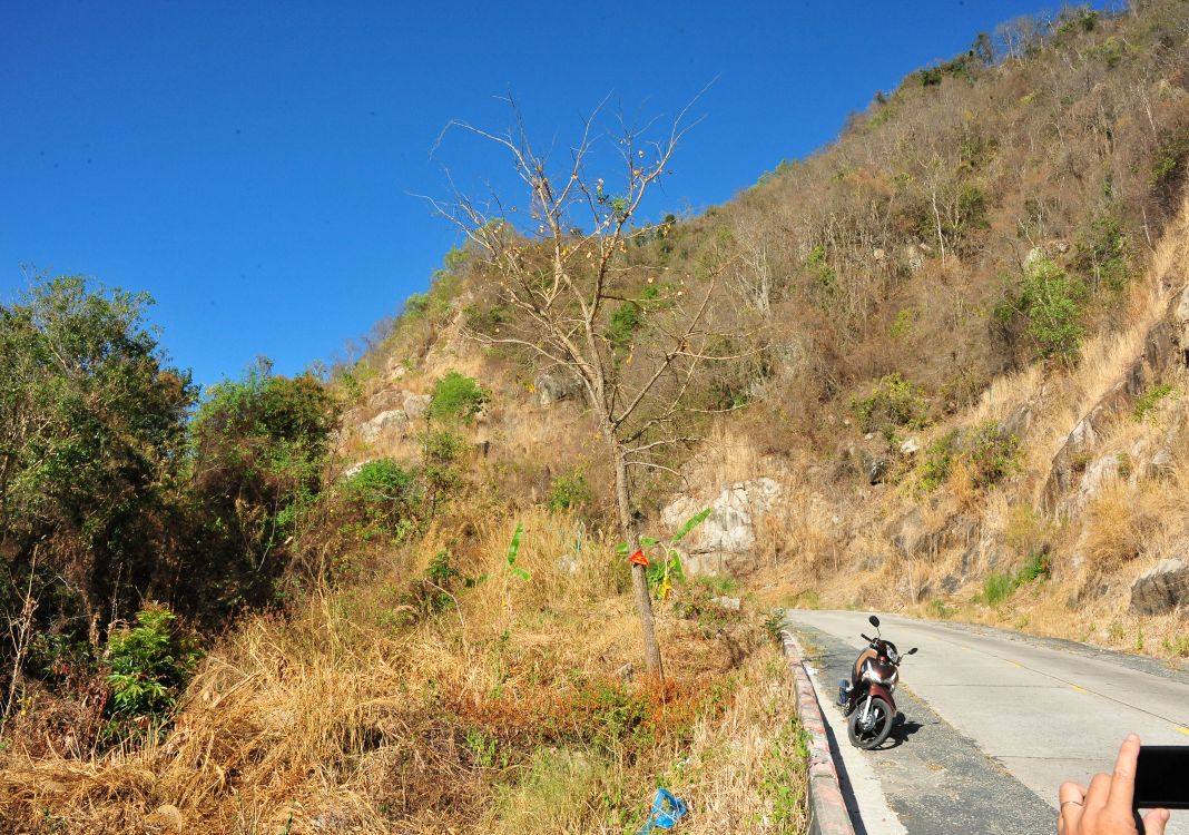Fire prevention for Bay Nui forests