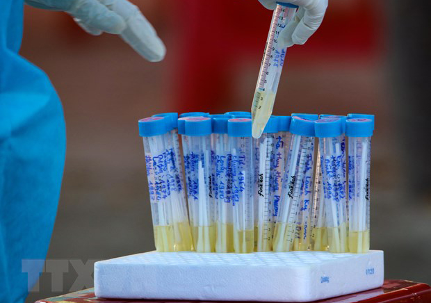 Two more Covid-19 patients die, both from Danang