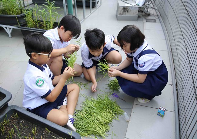 Vietnam's human capital index higher than regional average