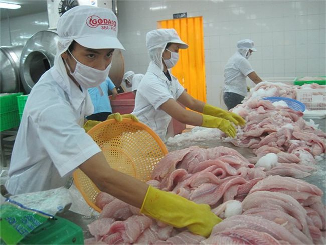 Saudi Arabia allows 12 Vietnamese companies to resume seafood shipments
