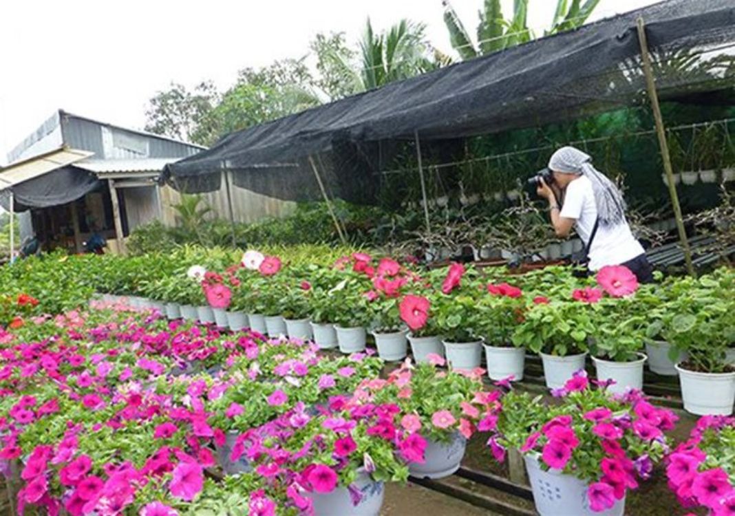 Dong Thap to develop VND600-billion Sa Dec culture village