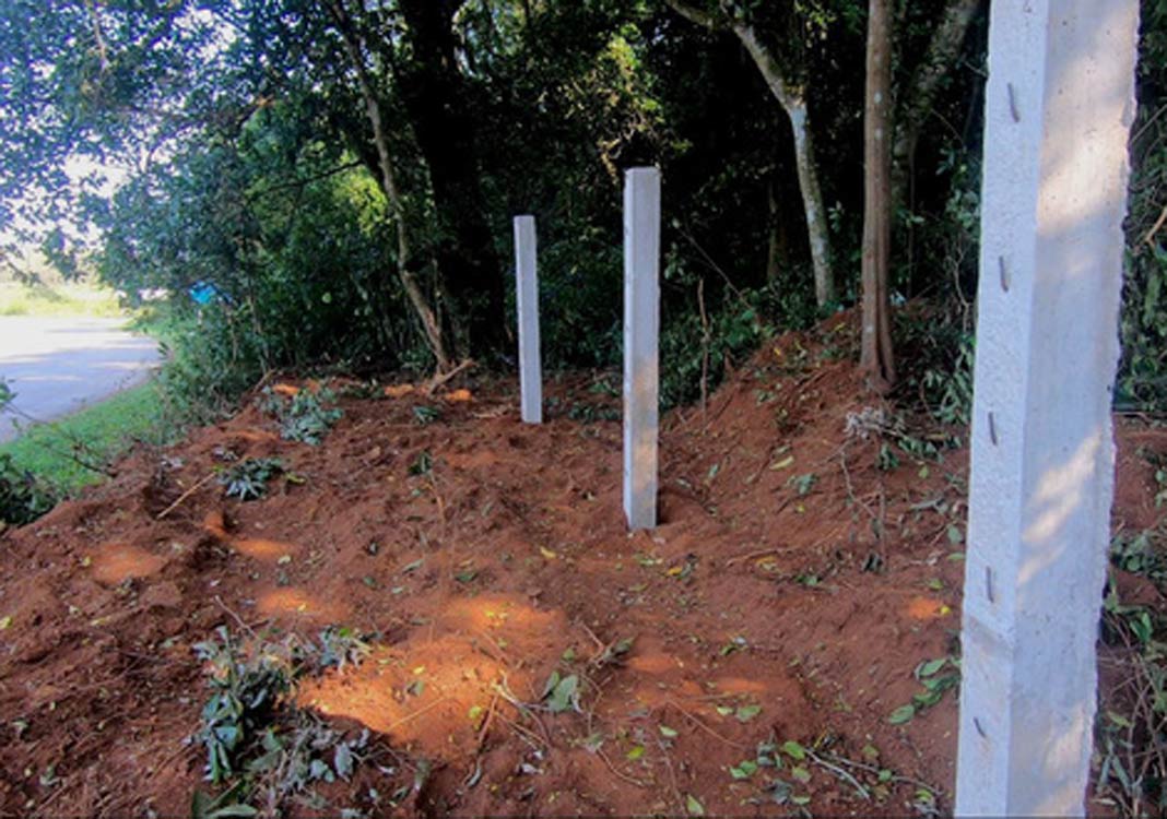 Tourism firm fined over VND300 million for deforestation in Quang Tri