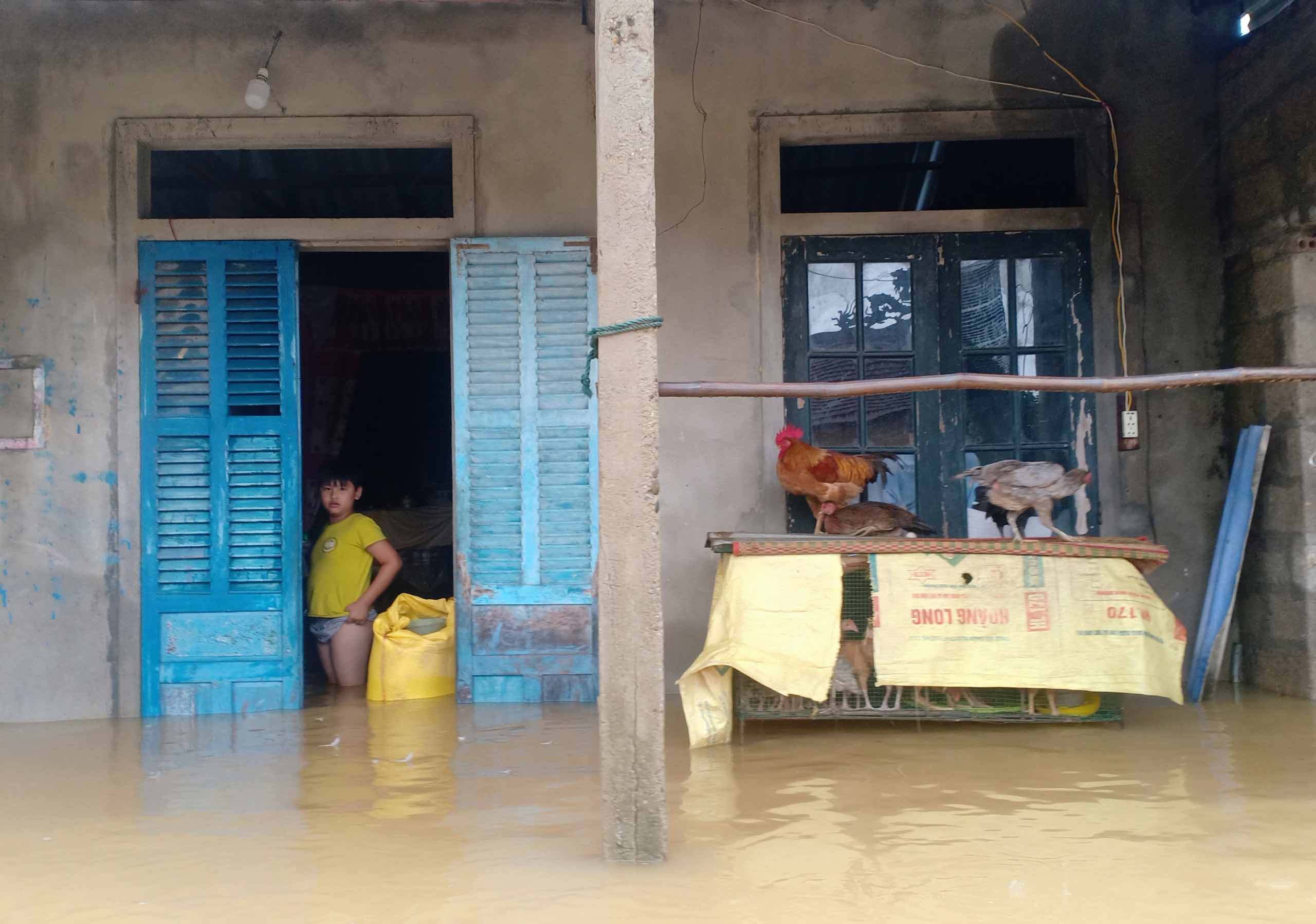 STF seeks scholarships for children affected by natural disasters