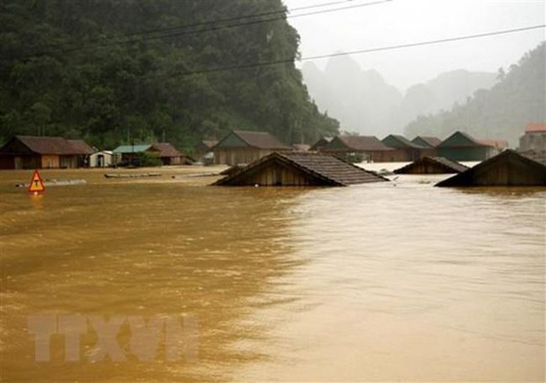 Netherlands to offer flood relief aid worth 2 million euros to Vietnam