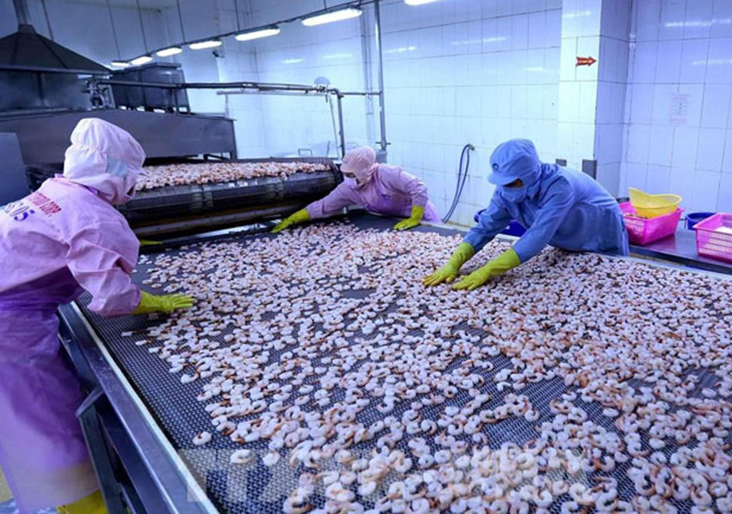 Covid-19 costs Vietnam US$19 billion in export revenue