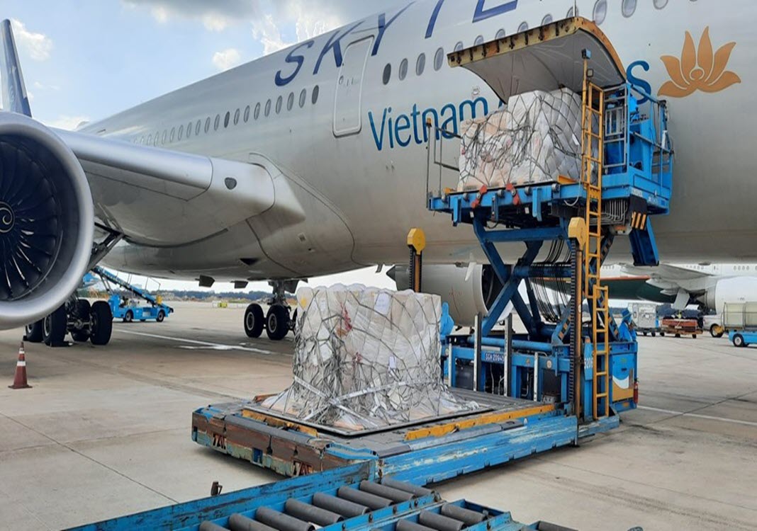 Over 203,000 rapid Covid-19 test kits donated by Germany arrive in Vietnam