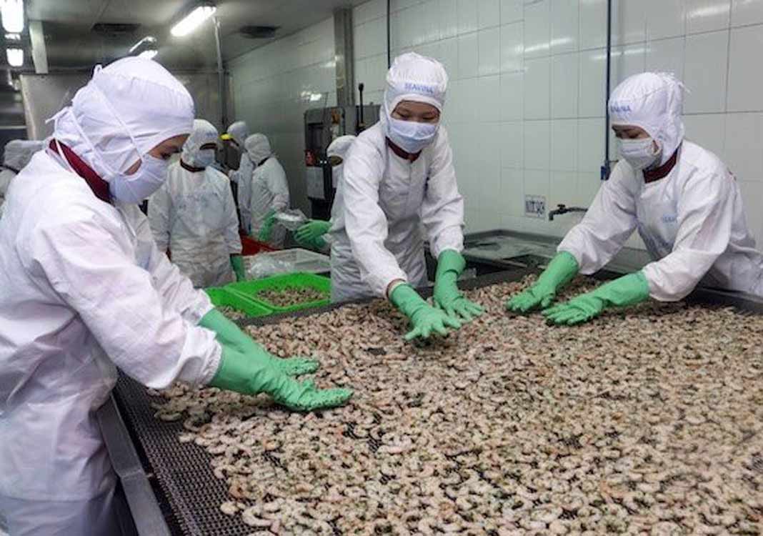 VASEP proposes reducing multiple fees for seafood firms