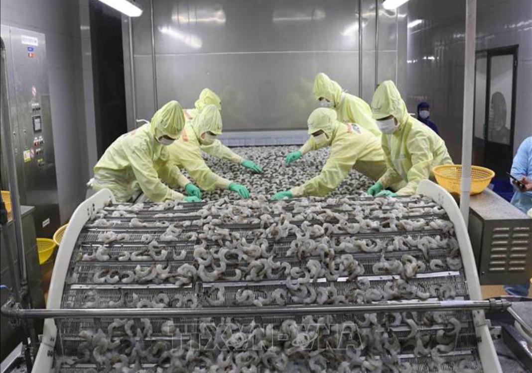 Jan-Aug fishery trade surplus reaches US$4.2 billion