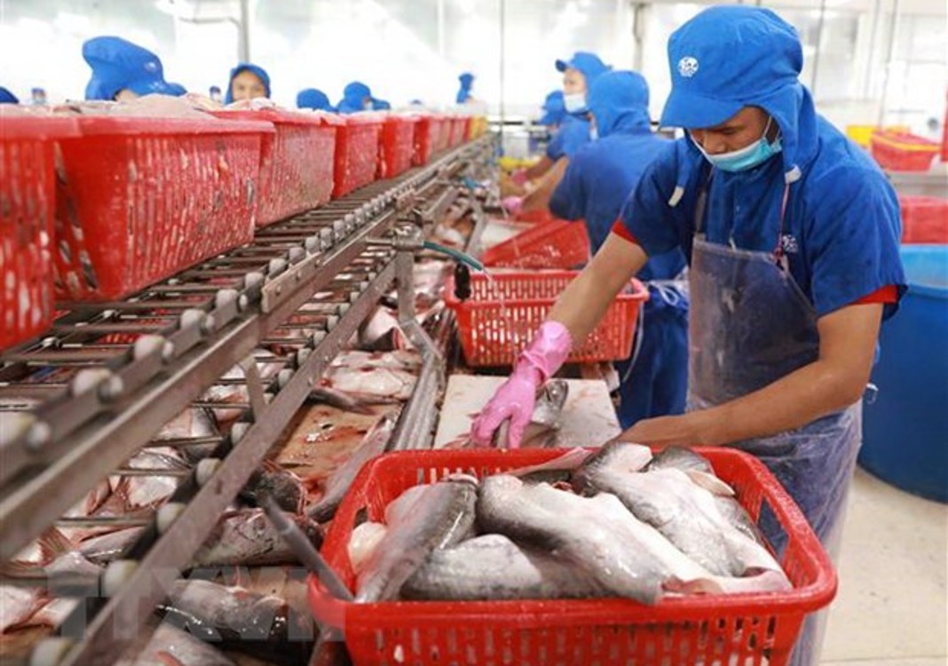 Seafood exports drop sharply during social distancing