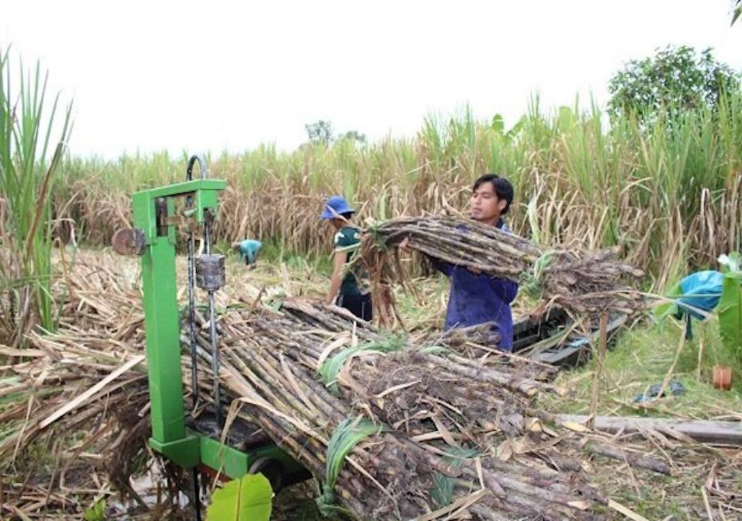 Vietnam probes Thai sugar’s evasion of trade remedies