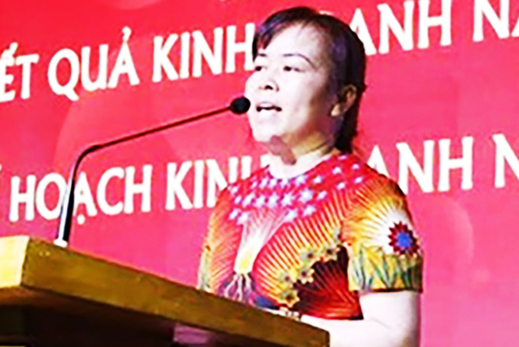 Vimedimex chairwoman detained over land auction irregularities