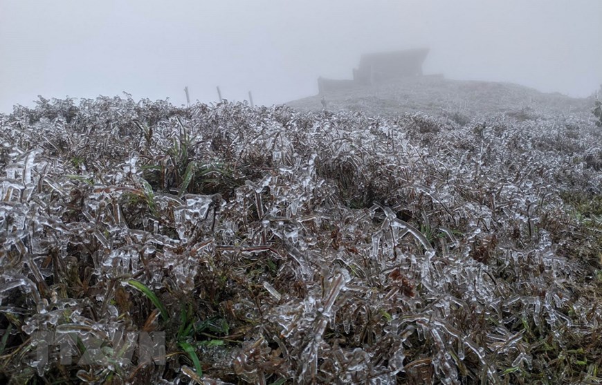 Northern localities engulfed in bitter cold