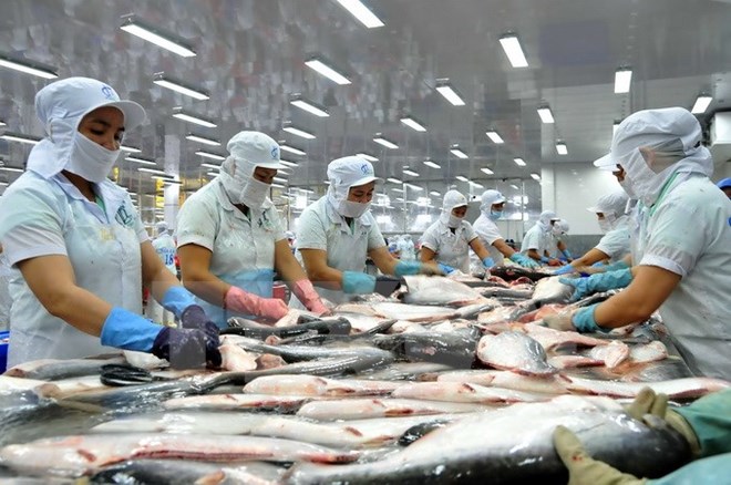 Tra fish prices hit three-year high