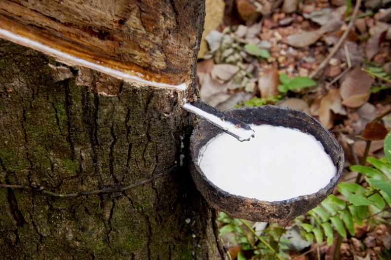 Vietnam becomes S.Korea’s third largest rubber supplier