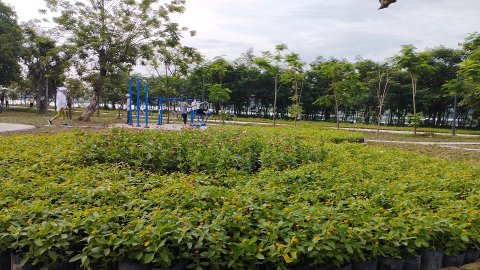 Hue sees growth in first half of 2022