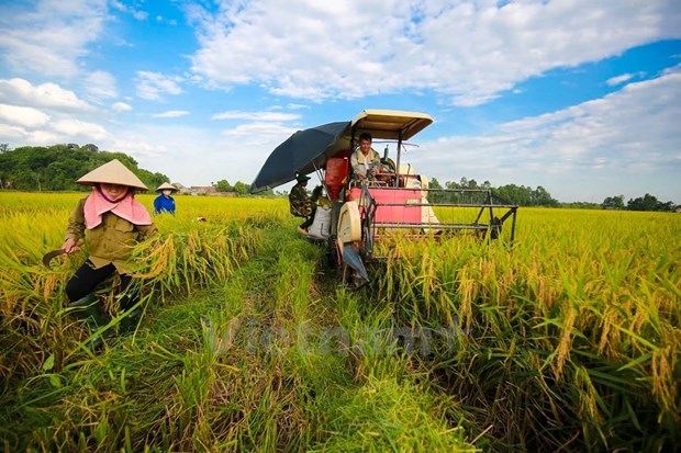 Loc Troi joins hands with MBB to produce rice