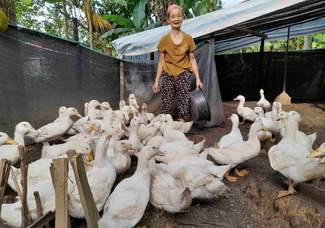 Value chain-based livestock towards a better future