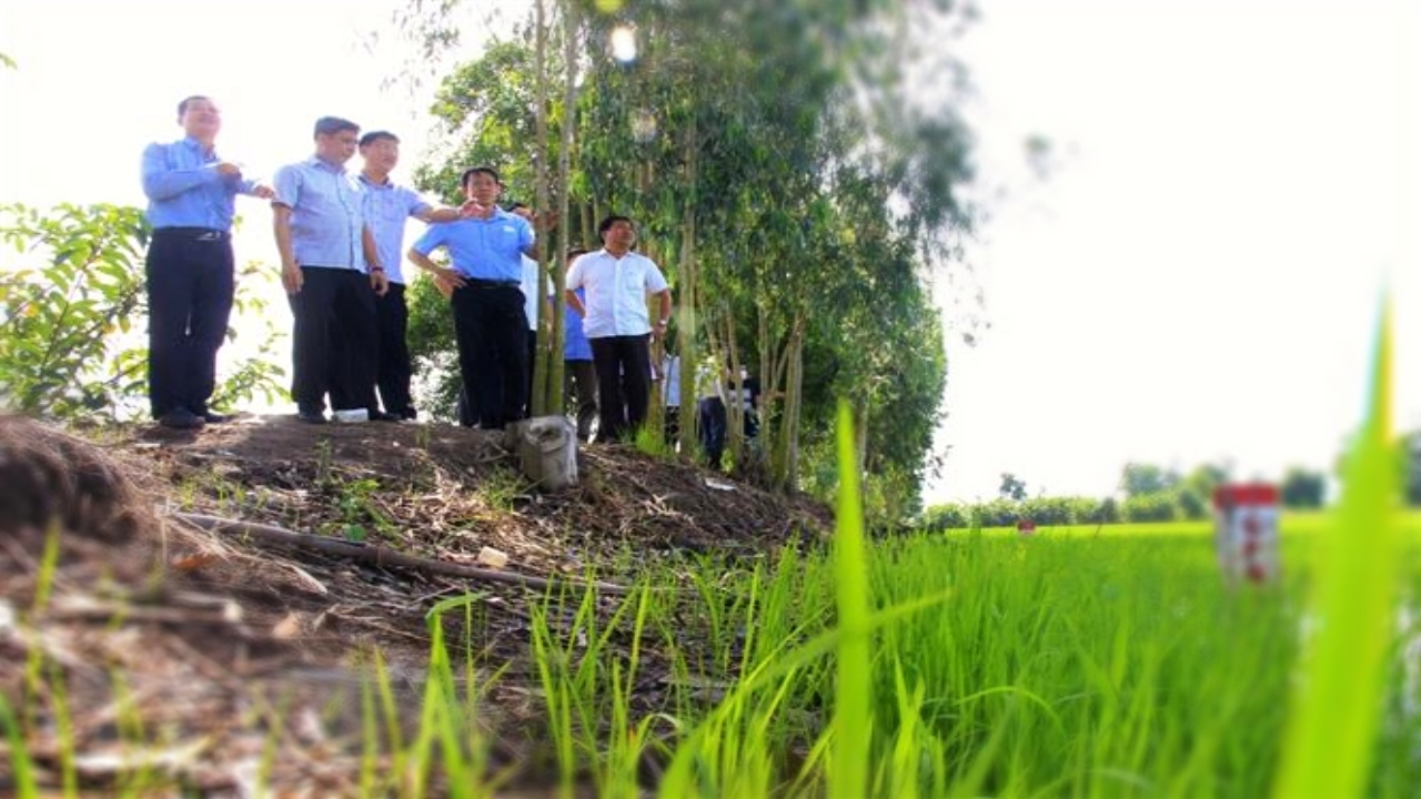 Can Tho-Ca Mau expy lags behind schedule