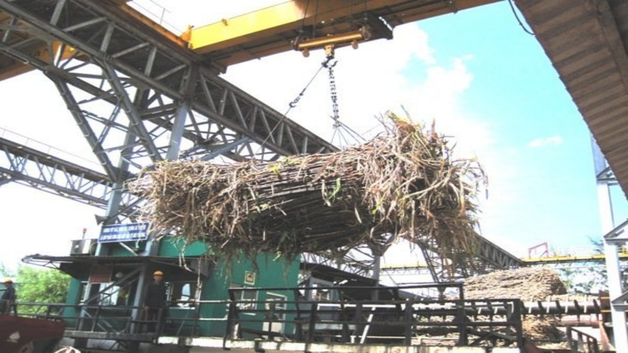 Sugar imports from five Southeast Asian countries plunge
