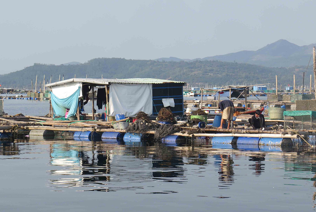 Central provinces see shrimp deaths following storms and floods