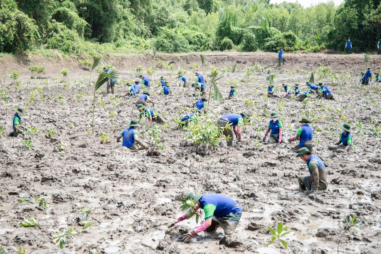 NS BlueScope Vietnam: CSR goes hand in hand with business