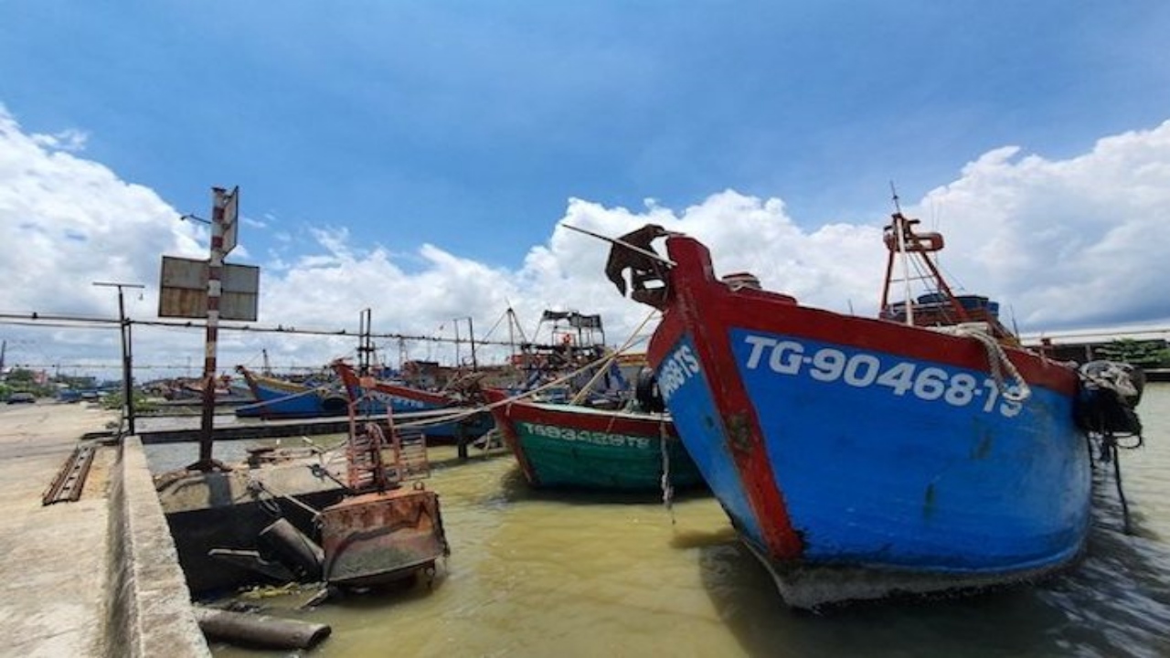 EU’s yellow card continues affecting Vietnam’s seafood exports