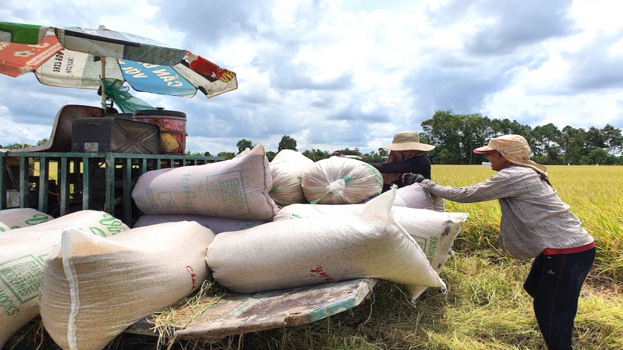 Ministry proposes amending rice import regulations