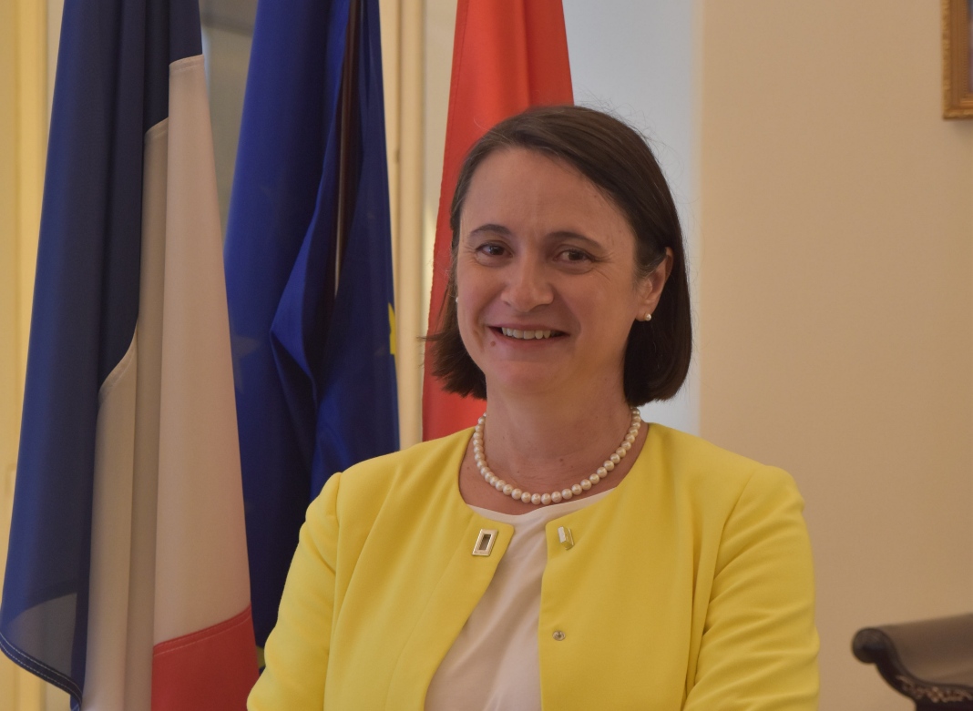 Vietnam, France to develop ties in all sectors