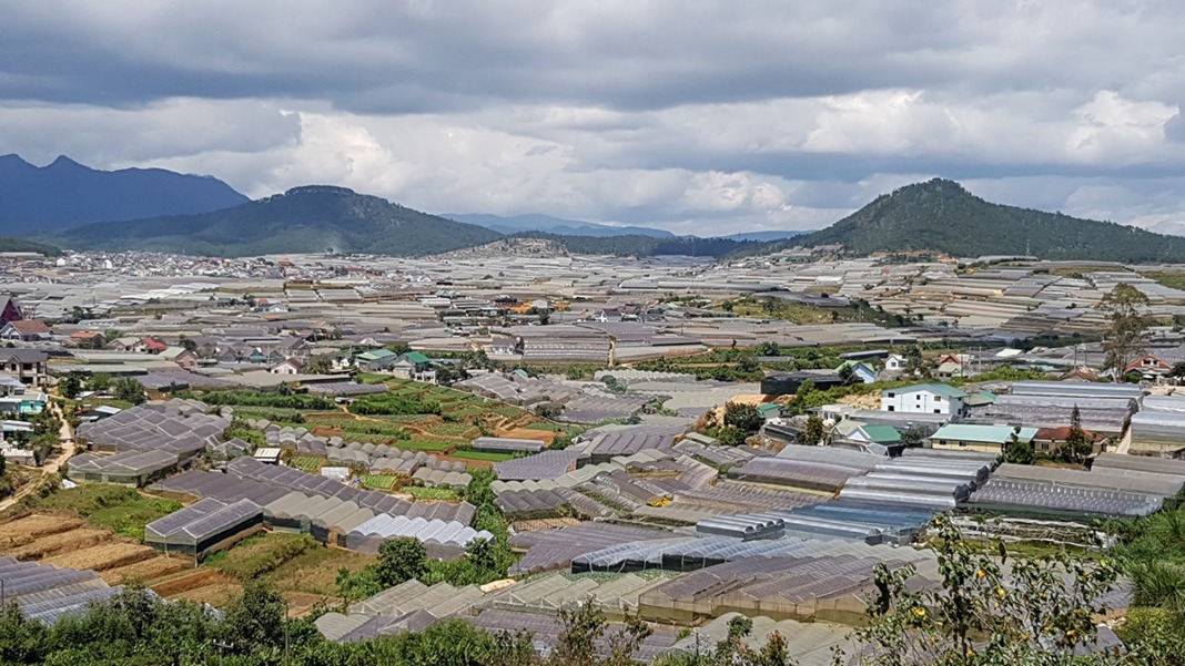 Lam Dong clears 97 hectares of illegal greenhouses, net houses