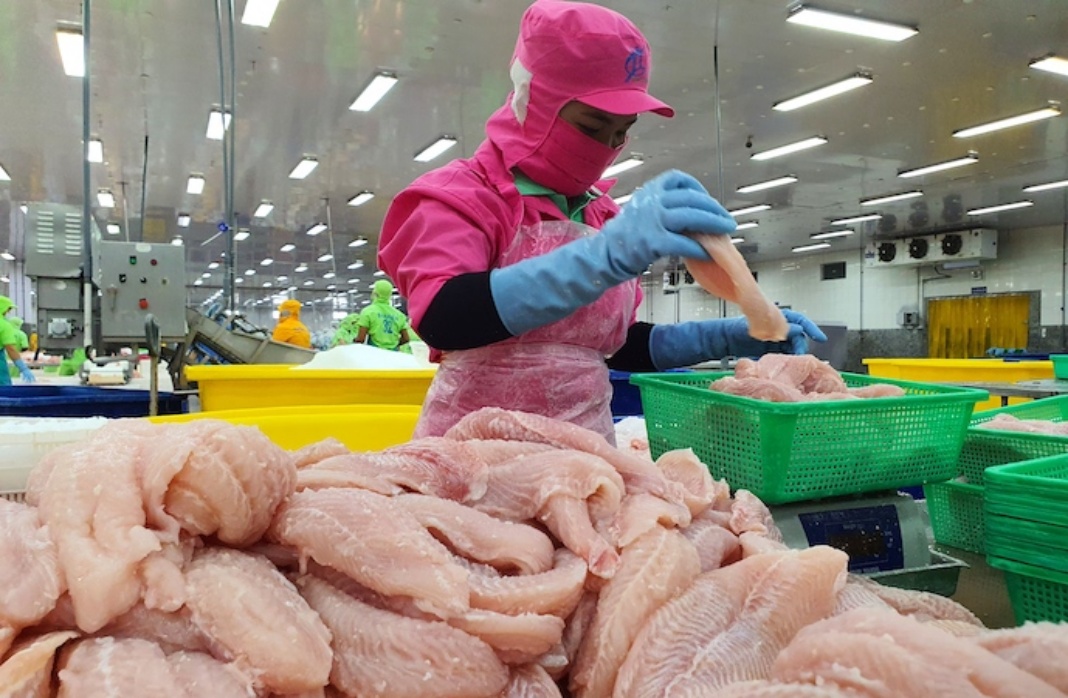 Tra fish, shrimp, wood exports plunge in February