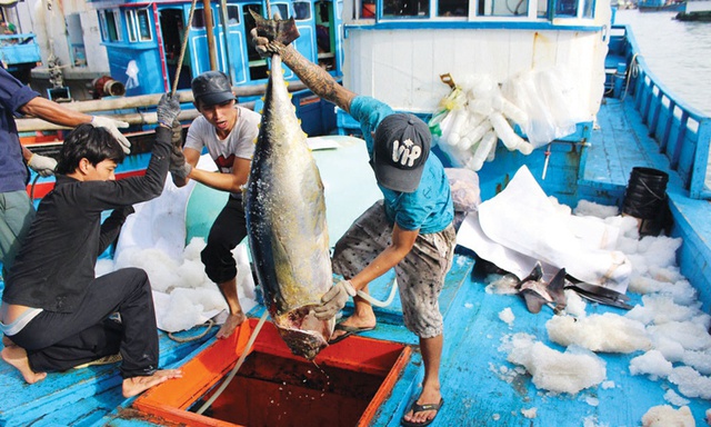 Ba Ria-Vung Tau sets up checkpoints to prevent IUU fishing