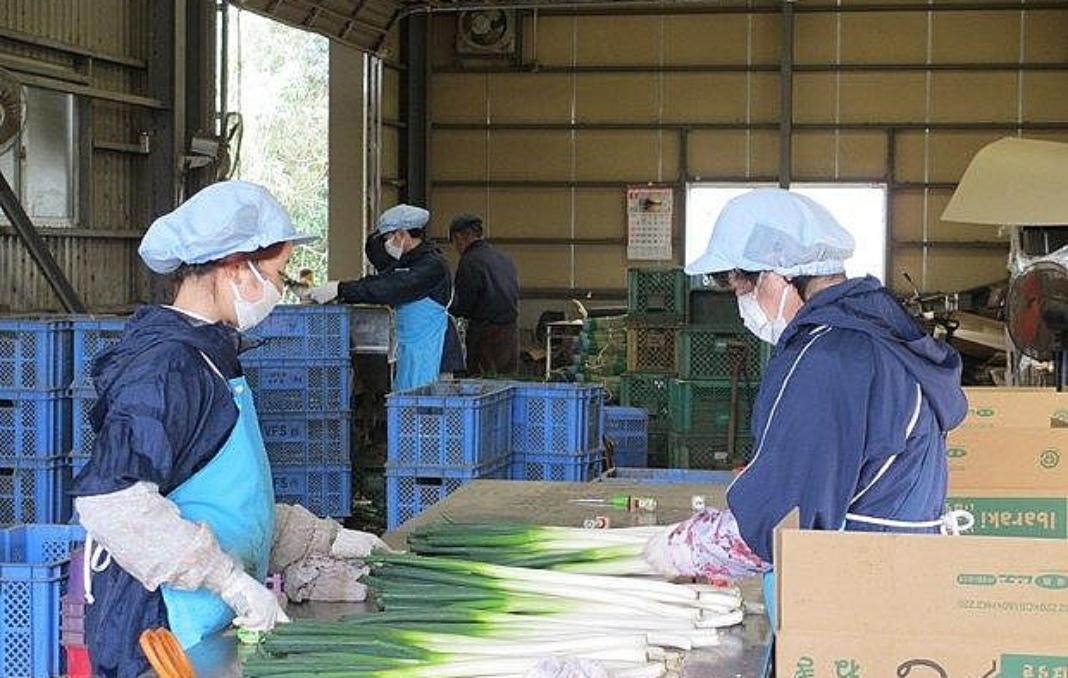 Around 28,400 Vietnamese sent overseas for guest work in Jan-Feb