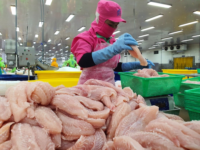 Tra fish export fall forecast to extend