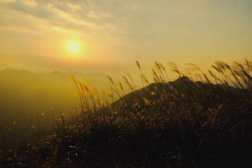 Basking in the beauty of Binh Lieu