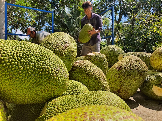 Vietnam seeks to export more fruits to U.S. market