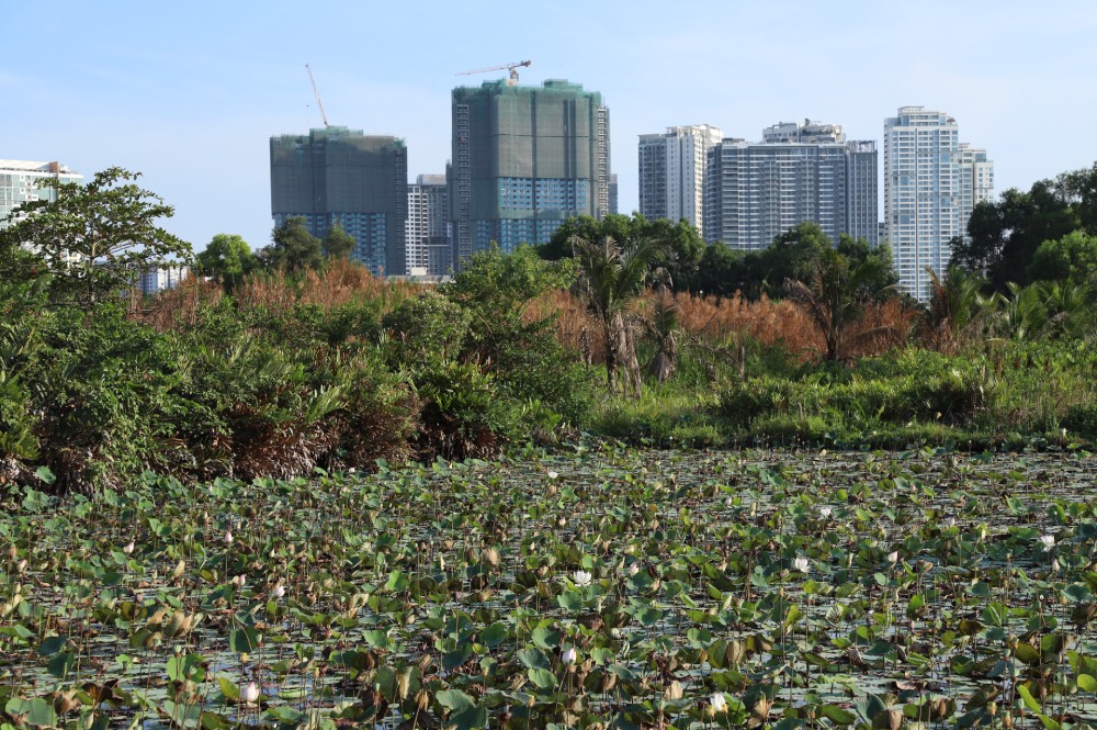 PM acts to deal with woes in land and construction materials