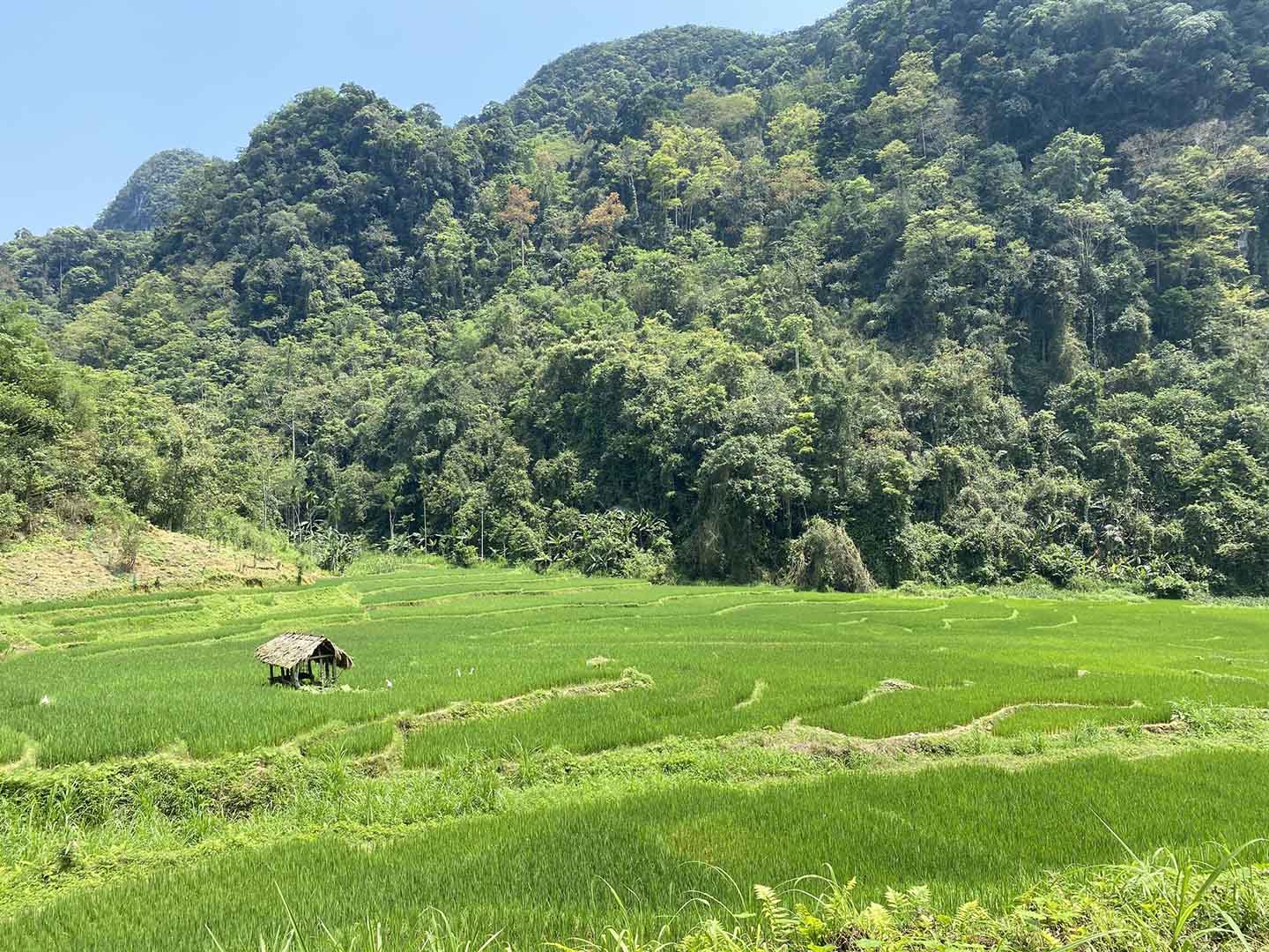 Pu Luong – A hidden gem of northwest region