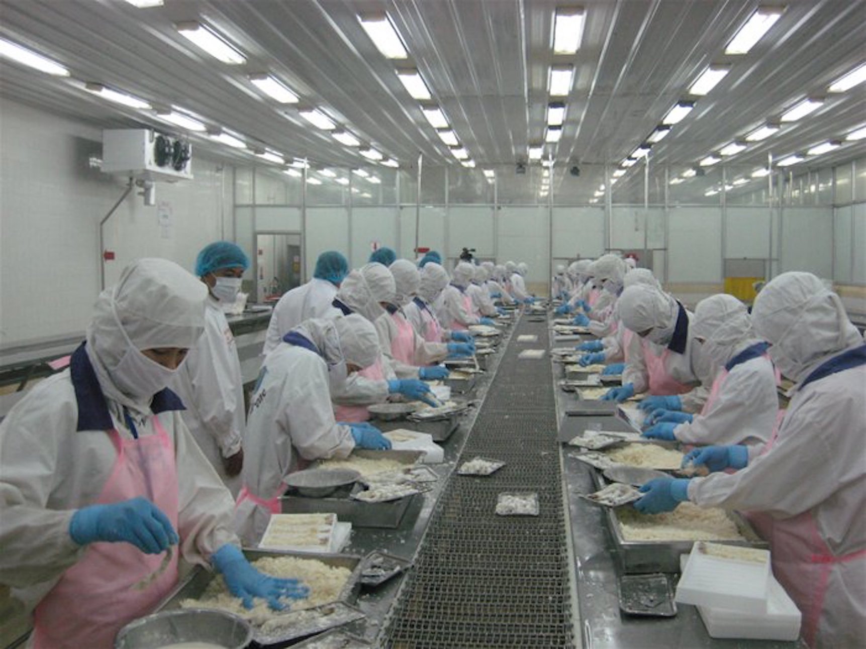 Vietnam's fishery export may fall short of full-year goal